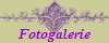 Fotogalerie