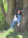 Baumblte in Werder